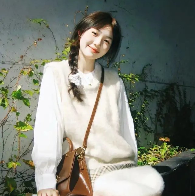 百花缭乱武士少女