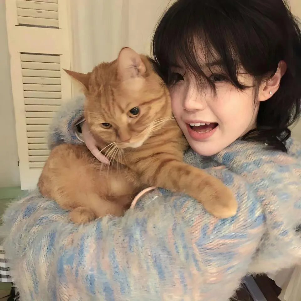 O先生的极乐旅程